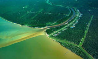 <p>Partly enclosed coastal body of water where freshwater meets saltwater from the sea. It is home to many organisms that can tolerate the sharp changes in salinity due to constant change in salt content.</p>