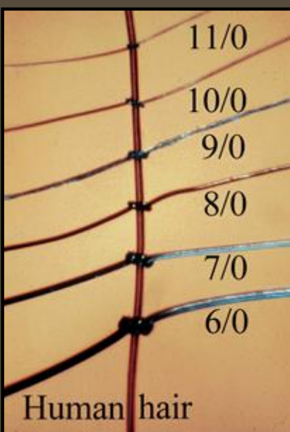 <p>the larger the number, the smaller the suture</p>