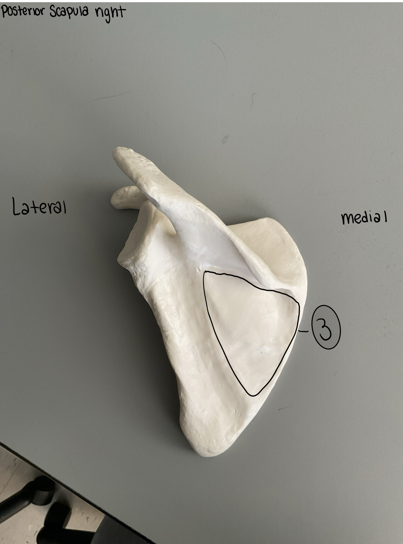 <p>3</p>