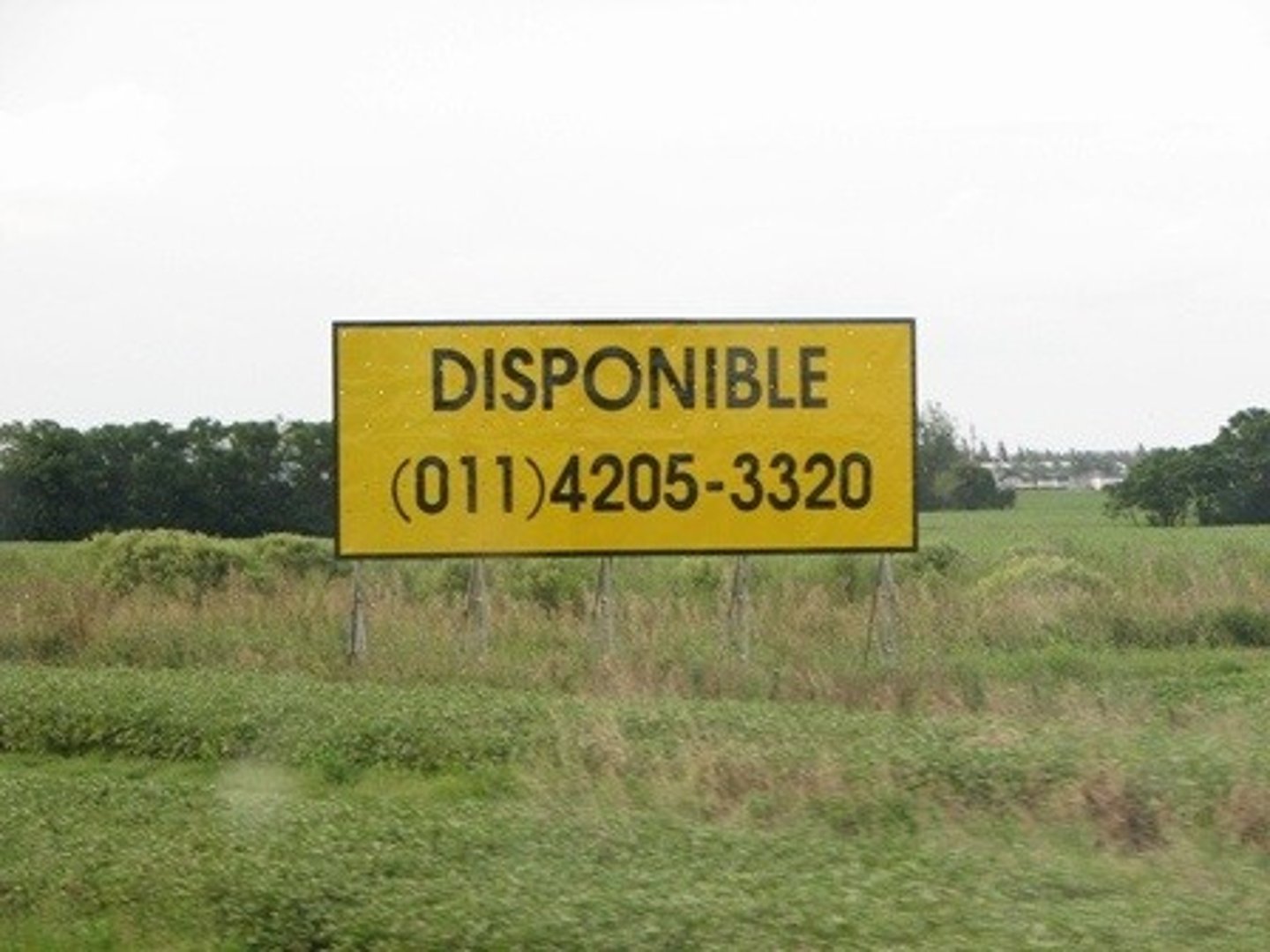 <p>Available</p>