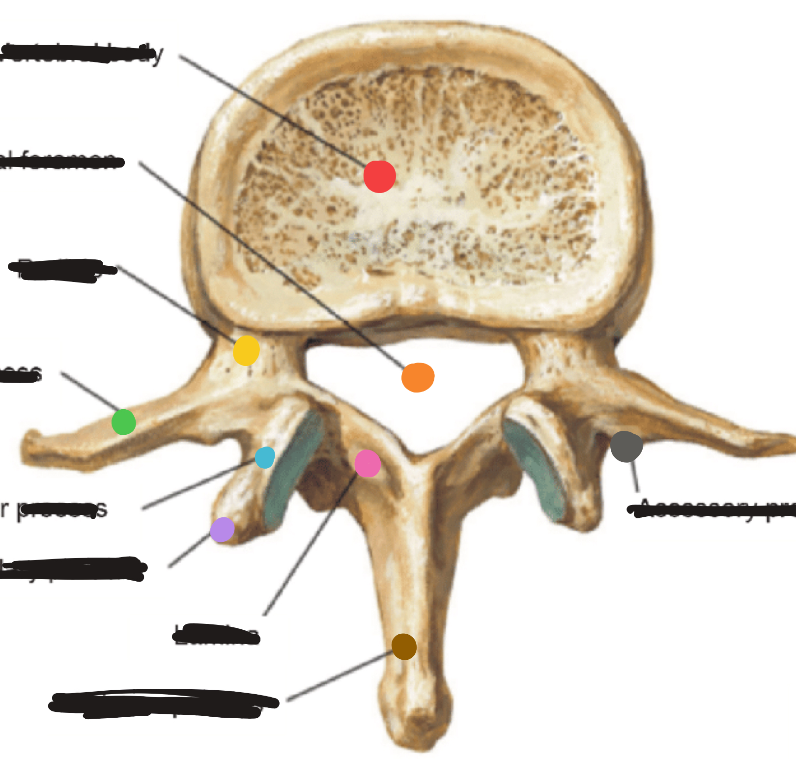 <p>What is the orange hole?</p>