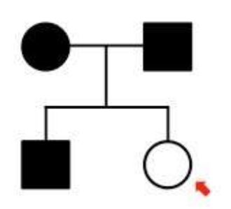 <p>A normal trait (from chromosome 1-22) that is dominant</p>