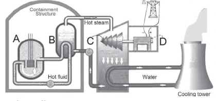 <p><span>Identify and describe one letter in the diagram that is common to both nuclear and fossil fuel electricity production.</span></p>