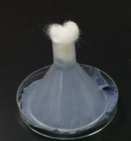 <p>used for evaluating&nbsp;<span style="background-color: transparent;"><span>bed nets, permethrin-treated clothing, etc.</span></span></p><ul><li><p>cut out material into size of a petri dish and place under cone and add live mosquitoes</p></li><li><p>count over a period of time to see how long mosquitoes last</p></li></ul><p></p>