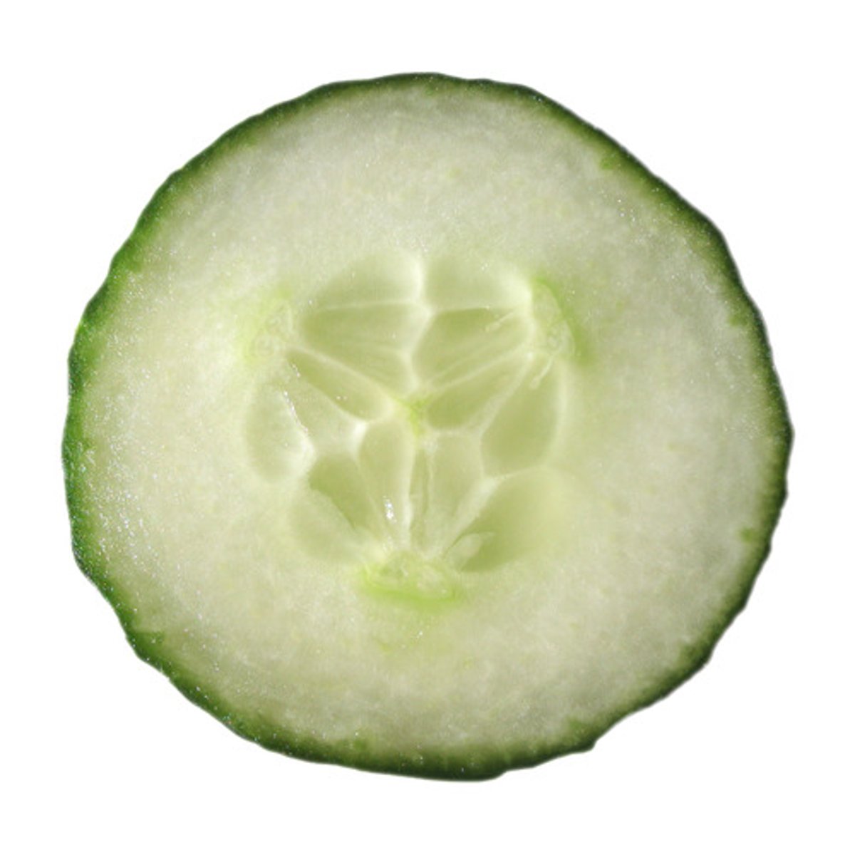 <p>Any fleshy watery fruit of the melon or cucumber type, with numerous seeds and a firm rind</p>
