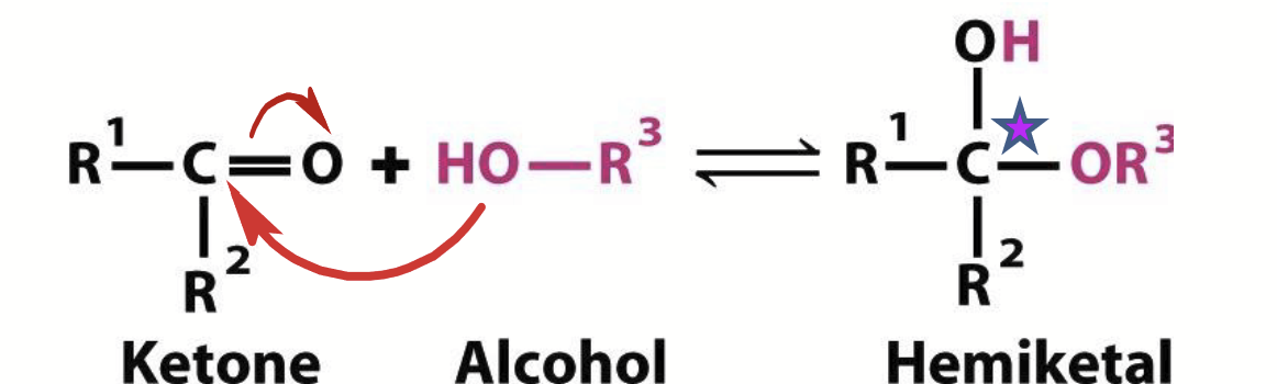 <p>Ketones can react with alcohols.</p><p>Note: the original carbonyl carbon becomes chiral upon formation of these.</p>