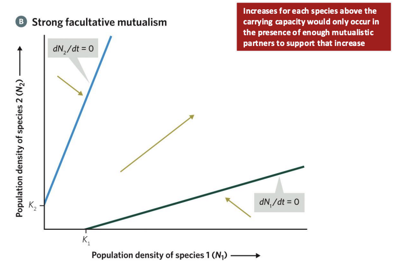 <p>B. When the interaction is stronger, each mutualistic partner increases so much in the presence of the other species that the two isoclines do not intersect, and there is no stable equilibrium; instead the populations of the two species increase exponentially without limit.</p>