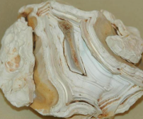 <p>kaolinite- silicates </p>