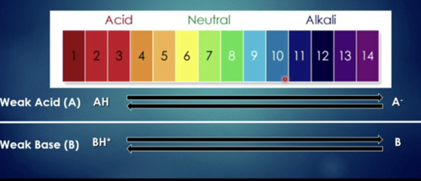 <p>weak bases have a harder time when they are in...</p>