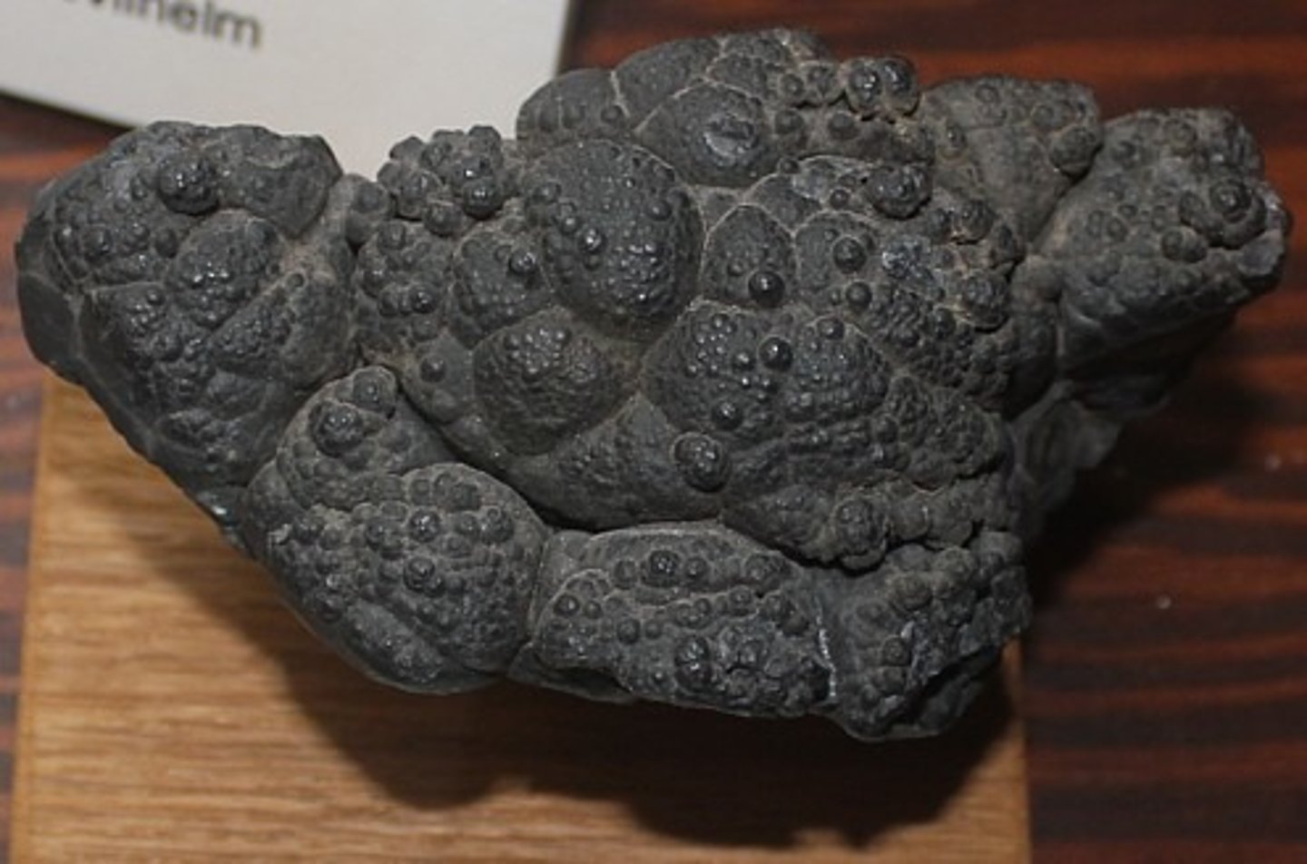 <p>Mixture of Mn oxides.<br>Romanechite + Cryptomelane + Manjiroite + Todorokite.</p>