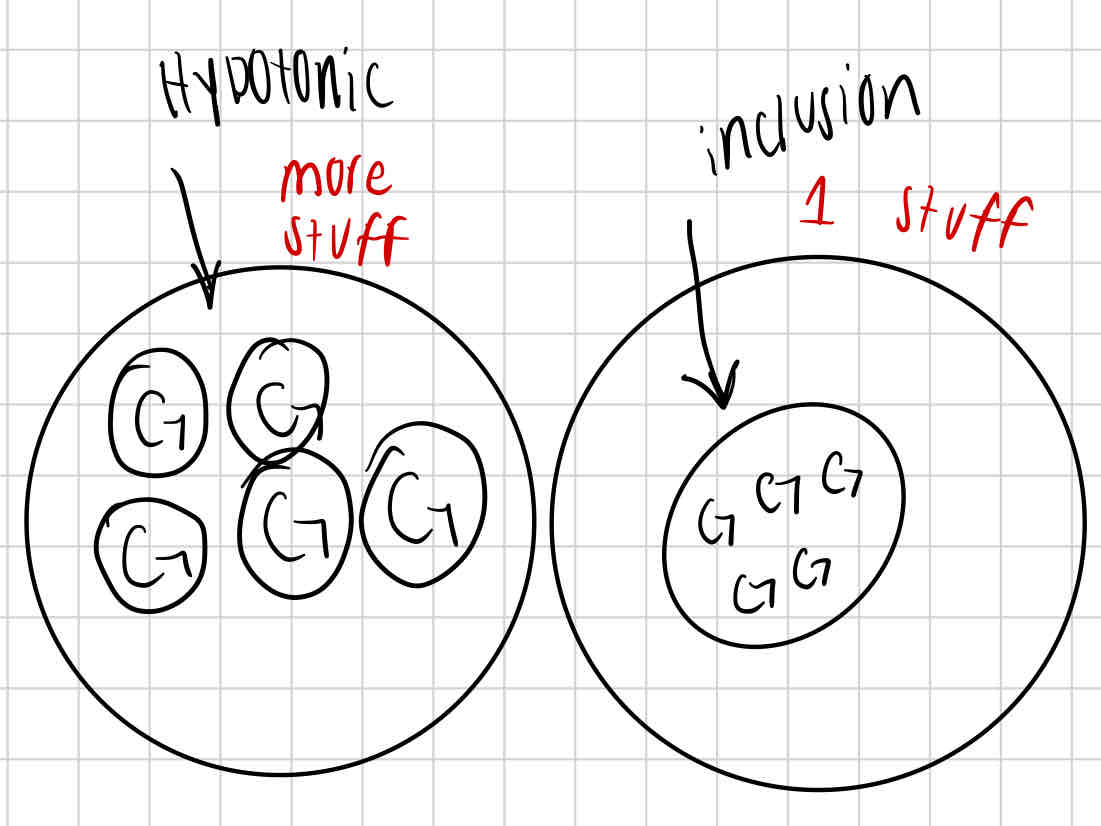<p>help reduce osmotic pressure by storing excess nutrients or solutes in a condensed form, lowering concentration of free solutes in the cytoplasm</p>