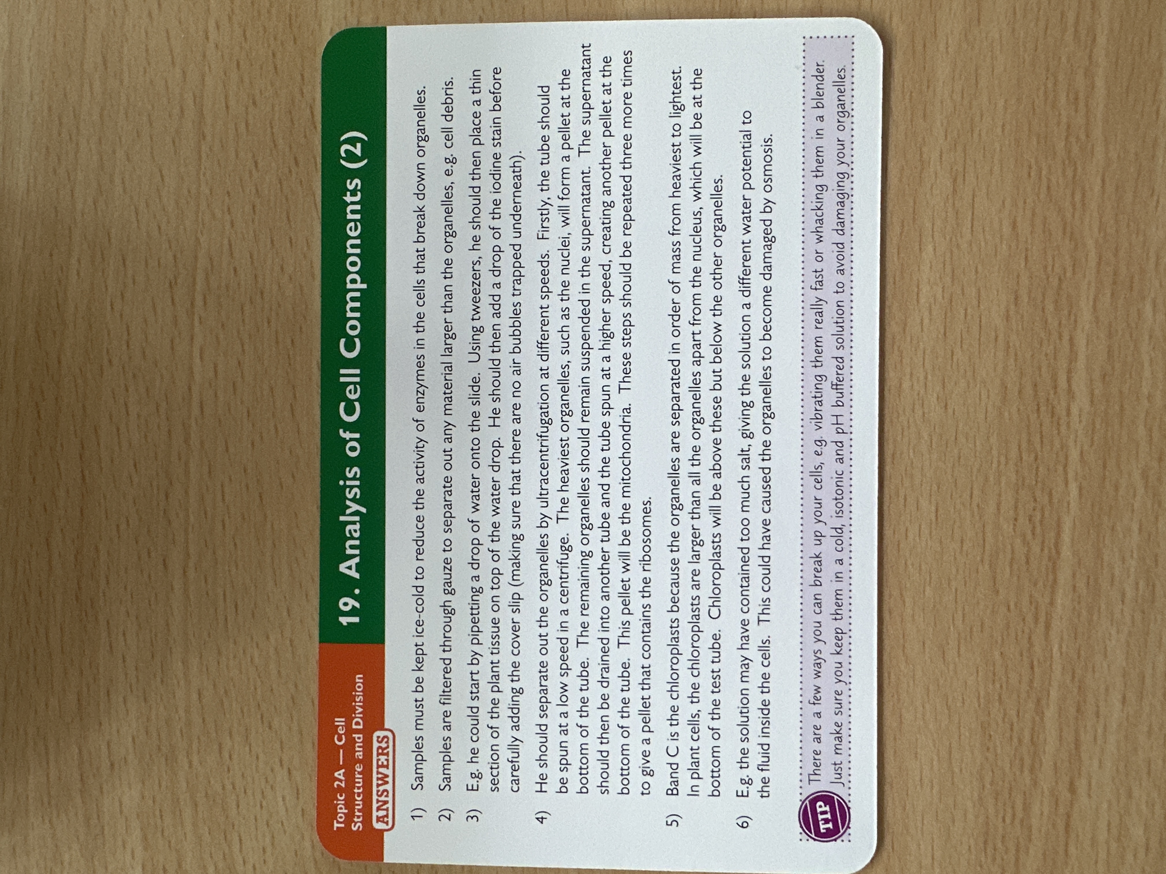 knowt flashcard image