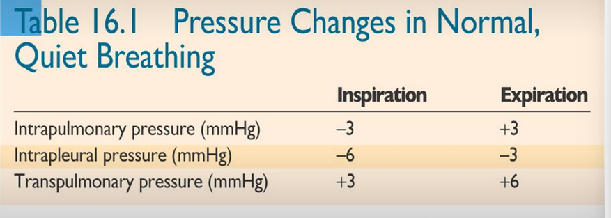 <p>-6mmHg during inspiration</p><p>-3mmHg during expiration</p>