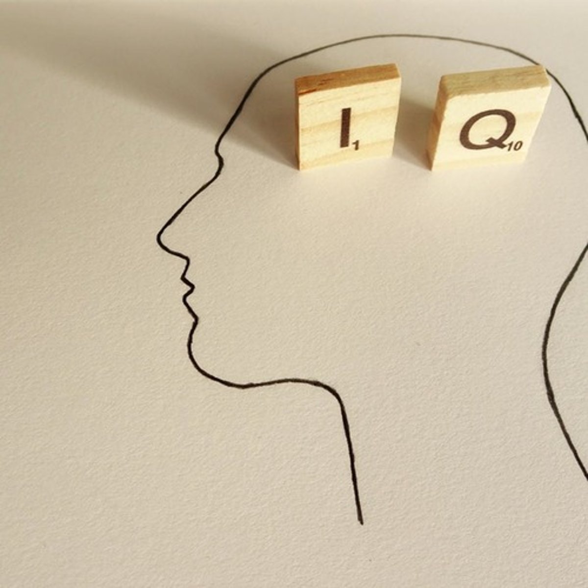 <p>They measure knowledge, quantitative skills, visual-spatial processing, working memory, and processing speed.</p>