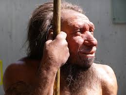 Paleolithic Era: Neanderthals 