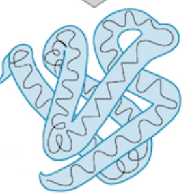 <p>Which level of structure </p>