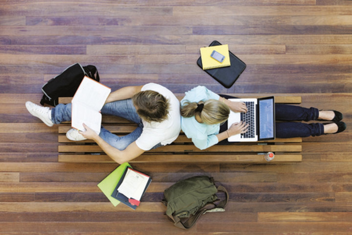 <p>student</p>