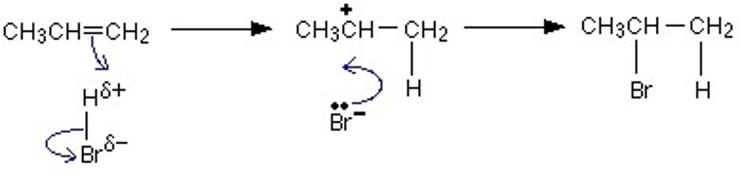 <p>As HBr approaches the C=C bond, high electron density of the bond induces a dipole in HBr</p><p>Delta positive H in now an electrophile</p><p>A pair of electrons from C=C are accepted by the electrophile (this is electrophilic attack)</p><p>C=C bond breaks to accept H atom</p><p>H-Br bond breaks through heterolytic fission</p><p>Creates a Br- ion and a carbocation intermediate</p><p>Br- will now attack C+ to form a second bond</p><p>Creates 2-bromopropane as major product</p>
