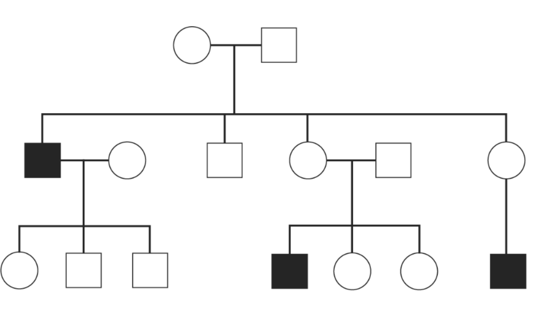 <p>Xác định kiểu di truyền trong cây phả hệ sau:</p>