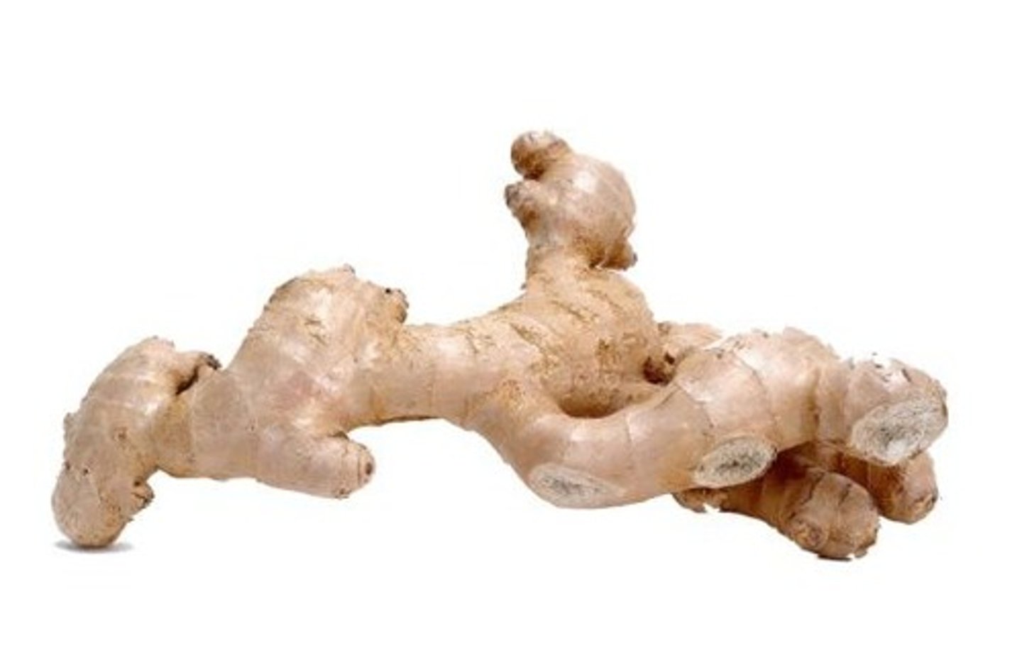 <p>ginger</p>