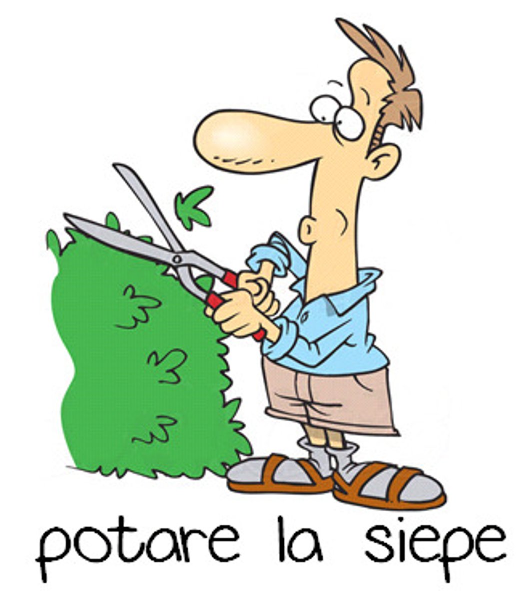 <p>Cut off irregular or unwanted parts.</p>