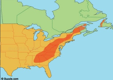 <p><span>a mountain system in eastern North America stretching from Alabama to Canada</span></p>