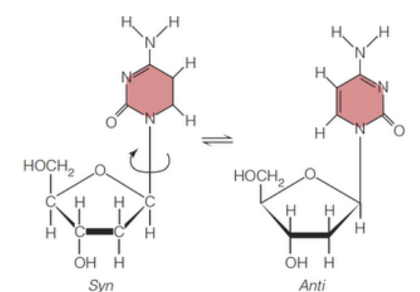 <p>Anti and syn refer to the two distinct orientations, or conformations, of the base with respect to the sugar in a nucleoside, defined by rotation around the ____-______ bond</p>