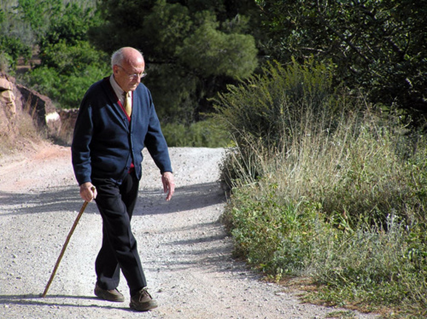 <p>Follower: The repetition creates structural symmetry, powerfully illustrating the reversal of roles between father and son. Whereas the child once struggled to keep pace, the father is now weakened by age, suggesting the inevitability of decline. Heaney presents this shift with subtle sorrow, exposing how time dismantles former strength and reshapes identity.</p>