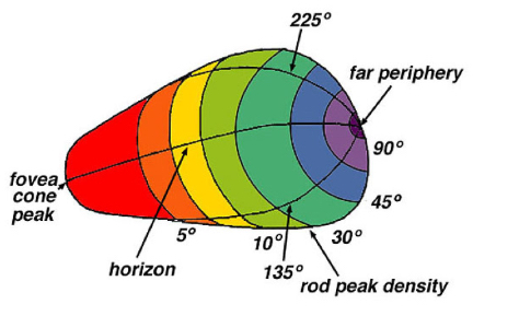 <p>What does this image depict and what is it called?</p>
