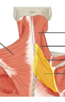 <p>What is highlighted</p>