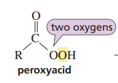 <p>a peroxy acid</p>