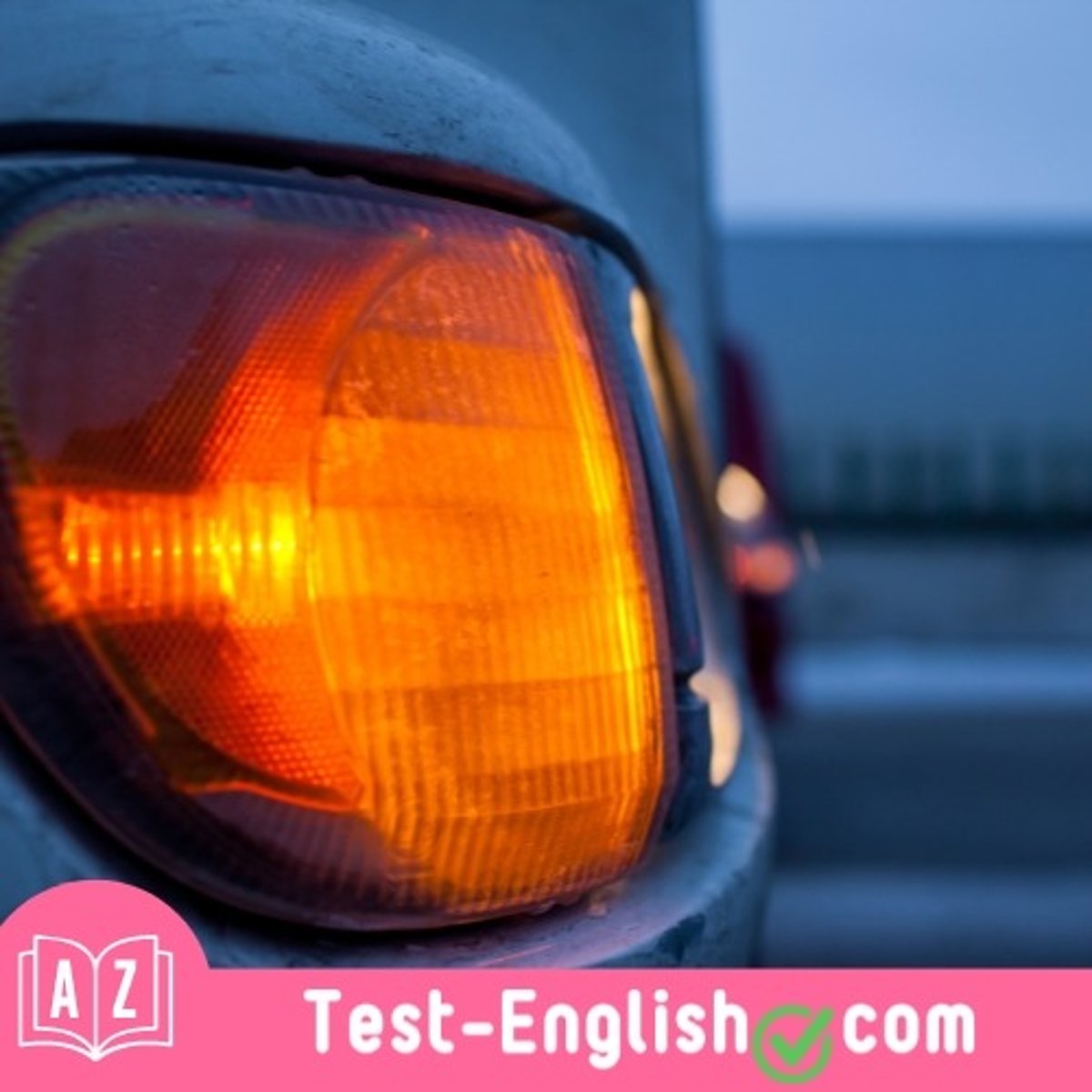 <p>The driver used the _____ to indicate they were turning left.</p>