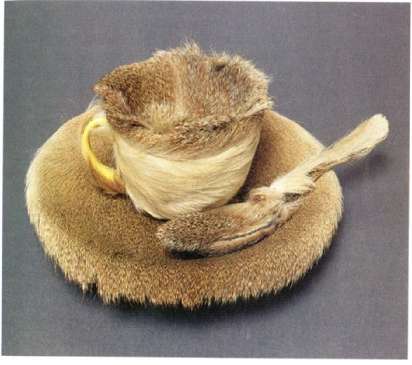 <p>Meret Oppenheim, 1936, fur-covered cup</p>