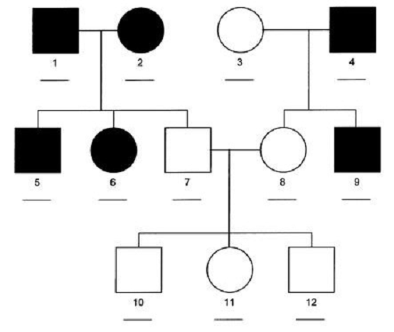   

What type of inheritance is represented by the above pedigree? Remember, affected individuals are represented by filled in shapes.

  

A. Autosomal Dominant

  

B. Autosomal Recessive

  
