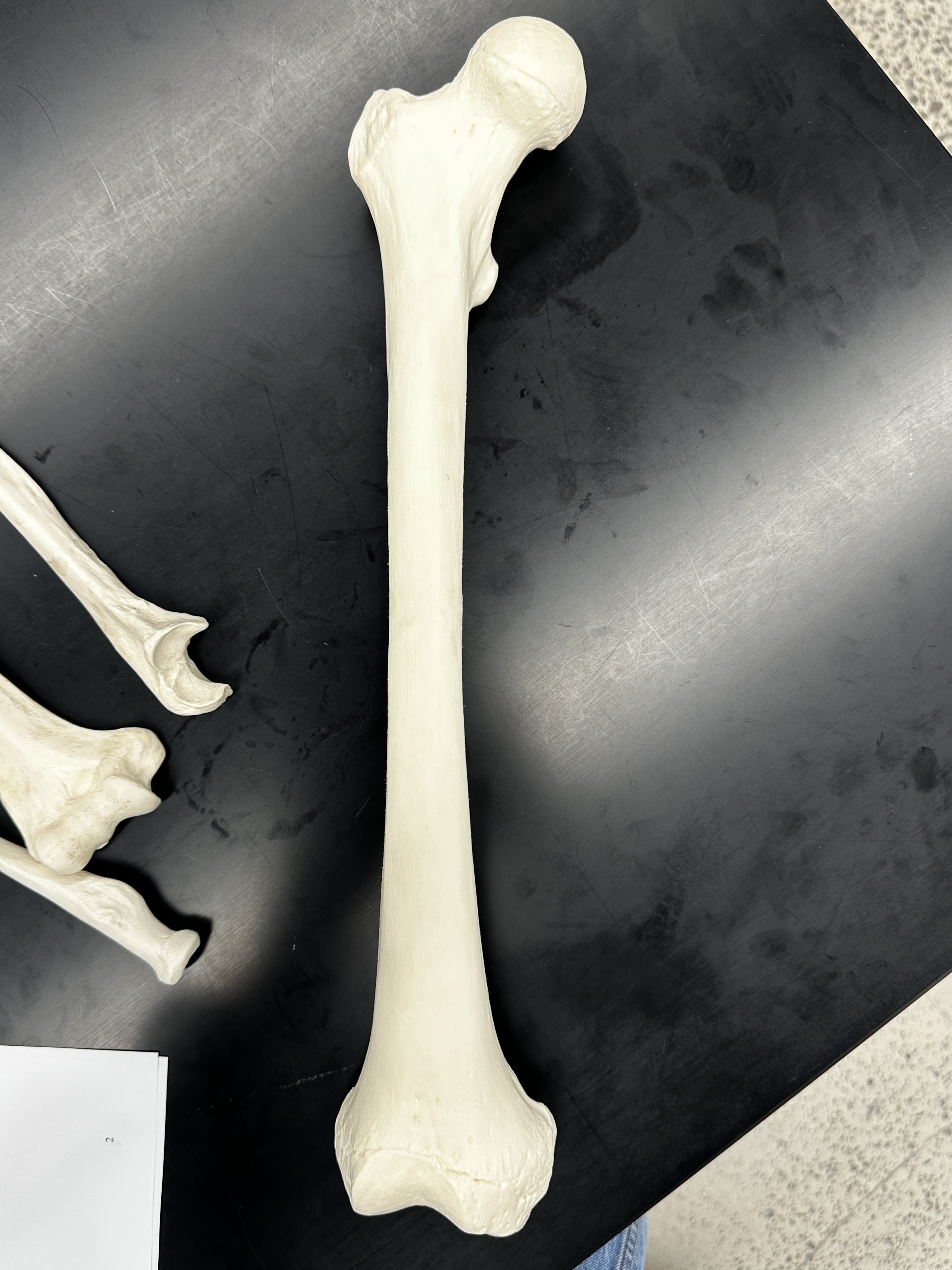 <p>What is this and how do you orient it?</p>