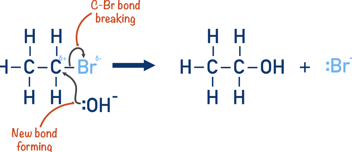 <ul><li><p>Conditions: Warm and aqueous</p></li><li><p>Reaction mechanism: Nucleophillic substitution</p></li><li><p>Form: Alcohol</p></li><li><p>Reagent: KOH or NaOH</p></li><li><p>Nucleophile: <sup>-</sup>:OH</p></li></ul><p></p>
