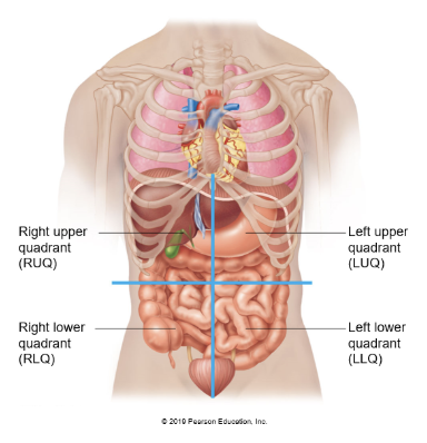 <p>list all structures in the LUQ</p>