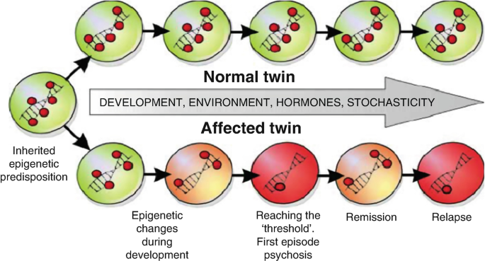 <p>Epigenetics </p>