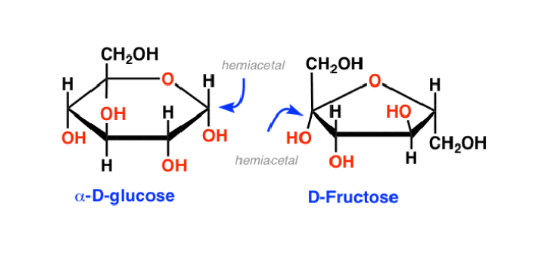 <p>contain a hemiacetal RO-C-OH</p>