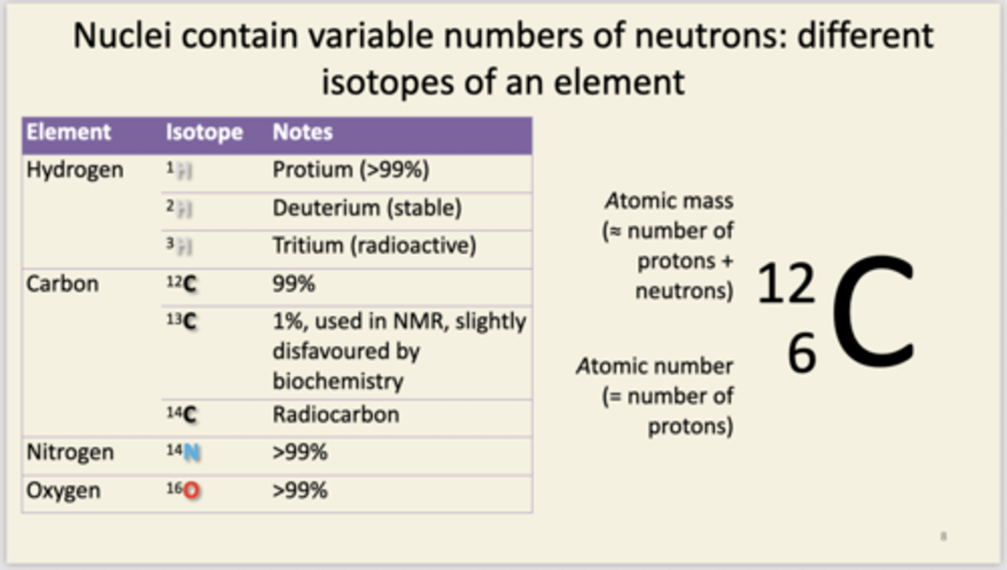 <p>Different elements differ by the number of protons in their nucleus. nucleon number = atomic mass. number of protons = atomic number. H = 1,1 C = 6,12 N = 7,14 O = 8,16 S and P are important for biochemicals like protein and nucleic acids. Some alkali metals Na and K and halogens Cl are used for electrolytes.</p>