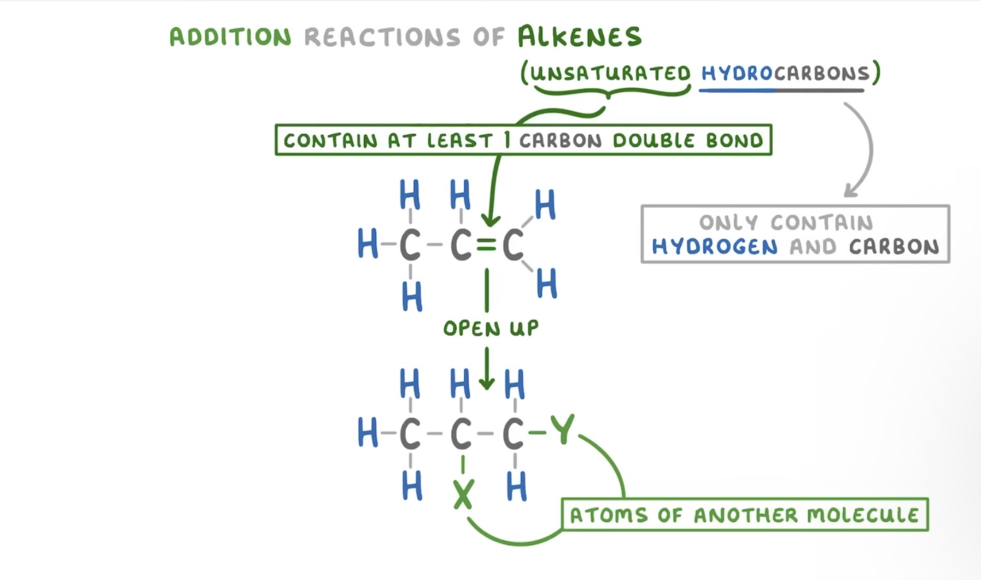 <p>Because alkenes have a double bond it allows them to undergo addition reactions this is because the carbon carbon double bond can open up and allow the 2 carbons of o bond to atoms of another molecules</p>