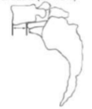 <p>identify grade</p>