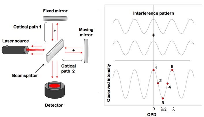 <p>It does not have a dispersing unit, it uses the fourier transform (FT), most common is a Michelson interferometer. The beam hits the beamsplitter(a coated plate that half transmits the beam and half reflects it made of <span>KBr and Germanium</span>)that splits it into two beams, one hits an immobile mirror while the other hits a mirror with constant velocity and known position. The moveable mirror causes a path difference resulting in interference so it is recorded as amplitude as a function of time, but fourier transform is a mathematical model that transforms from a time to frequency domain which help with signal to noise ratio.</p>