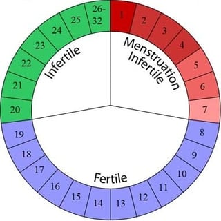 <p>more modern version of calaendar rythm method</p>
