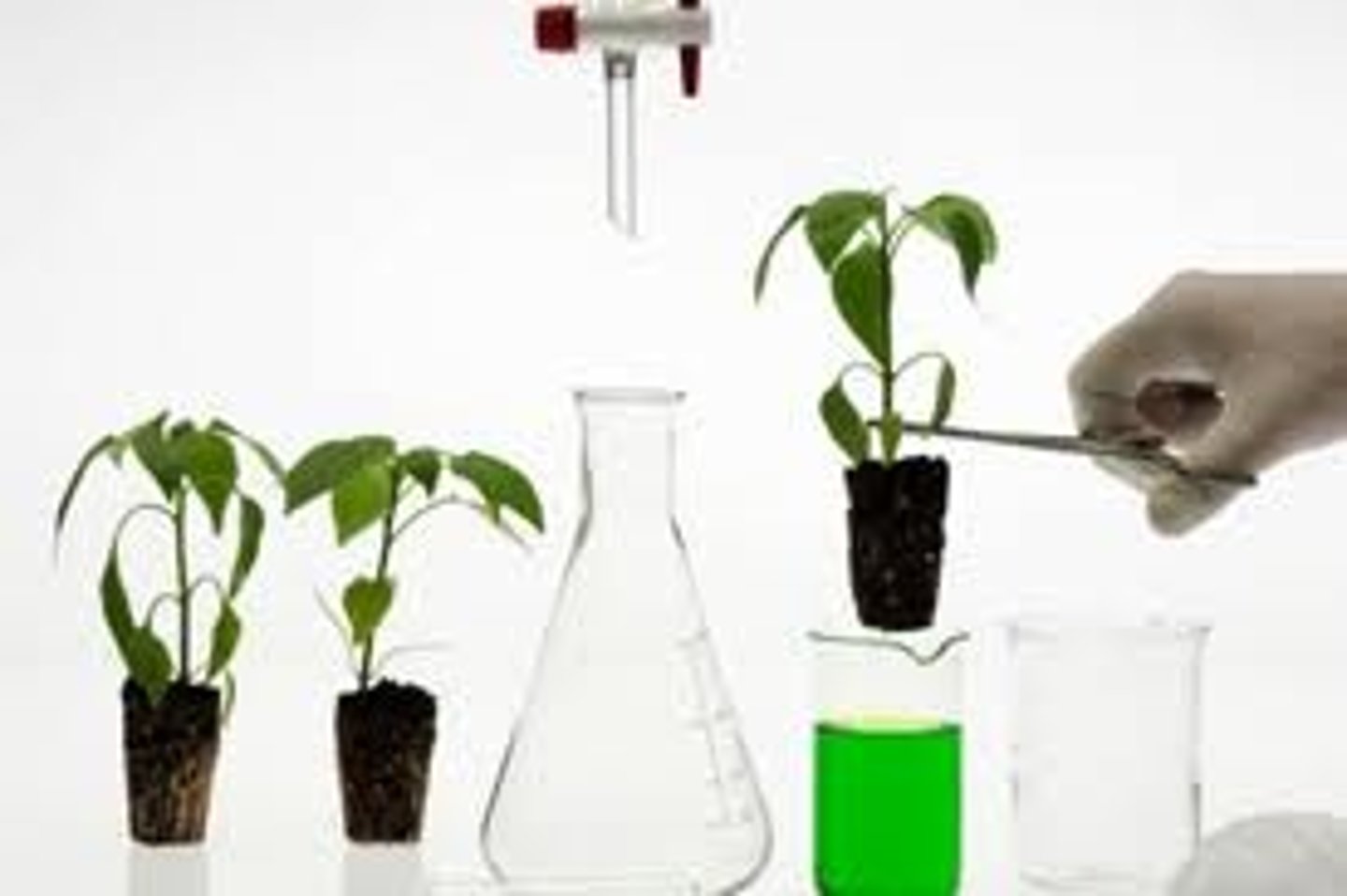 <p>A form of science that uses living organisms, usually genes, to modify products, to make or modify plants and animals, or to develop other microorganisms for specific purposes.</p>