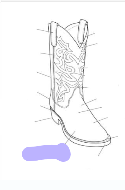 <p>What part of the boot is this? (labeled in purple)</p>