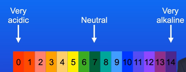 <p>Green is neutral</p><p>Red is very acidic</p><p>Purple is very alkaline.</p>