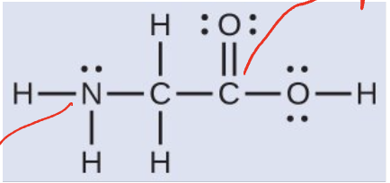 <p>What are the molecular geometries of non-H atoms in glycine?</p>