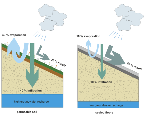 <p>Precipitation (rain) either flows over earth’s surface into a body of water (runoff or trickles through soil down into groundwater aquifers (infiltration)</p><ul><li><p>Groundwater (aquifers) &amp; surface waters (lakes/rivers) are important freshwater reservoirs for humans &amp; animals</p></li></ul><p>Precipitation recharges groundwater through infiltration, but only if ground is permeable (able to let water pass through)</p><p>Runoff recharges surface waters, but can also carry pollutants into water sources</p>