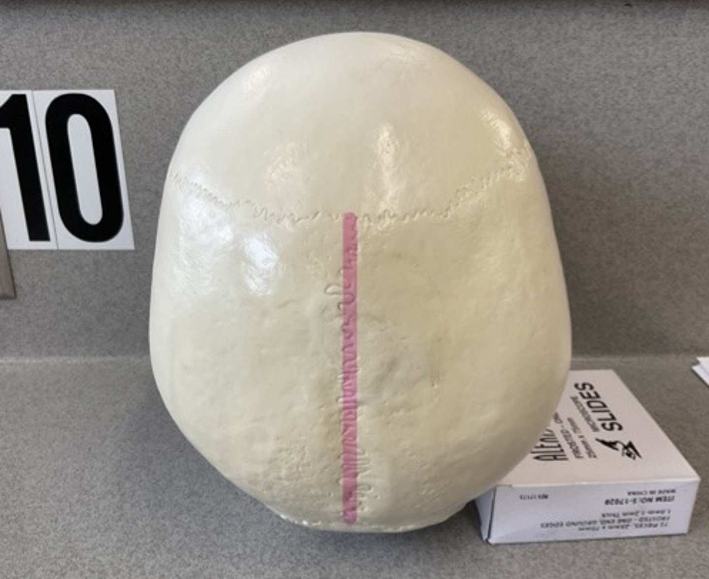 knowt flashcard image